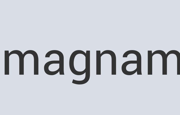 Aerodynamic Leather Convenience Shrine